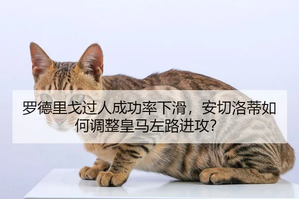 罗德里戈过人成功率下滑,安切洛蒂如何调整皇马左路进攻?