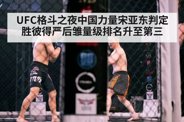 UFC格斗之夜中国力量宋亚东判定胜彼得严后雏量级排名升至第三